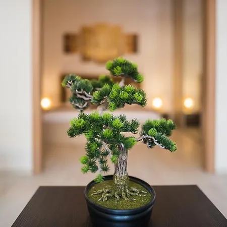 Zen Bonjour Apartman