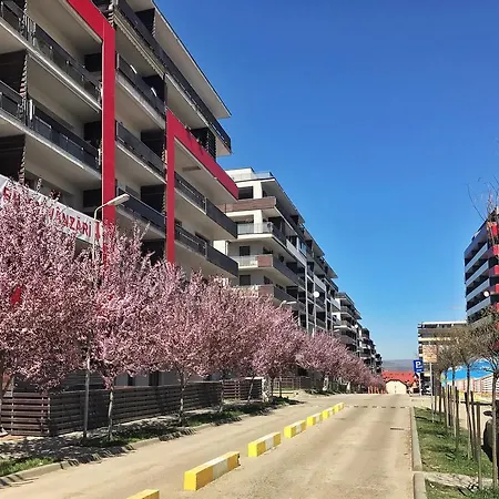 Zen Bonjour Kolozsvár